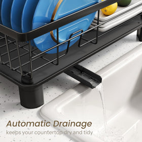 SNTD Dish Drying Rack - Small Dish Rack for Kitchen Counter, Stainless Steel Dish Drainer with Utensil Holder and Drainboard